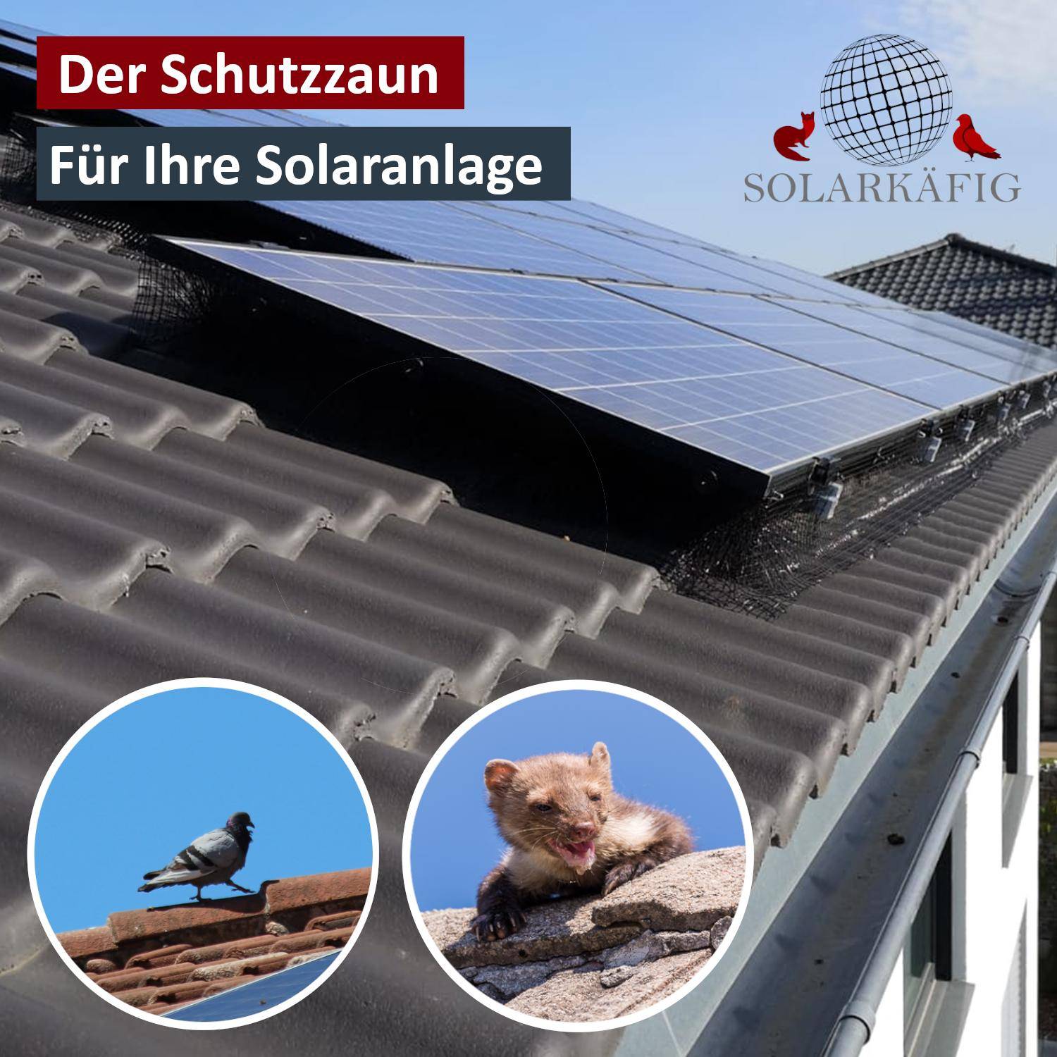 Solarkäfig 20cm x 5 Meter EDELSTAHL